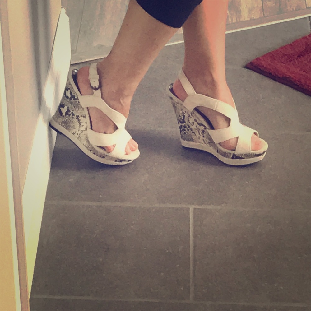 Baker’s wedges